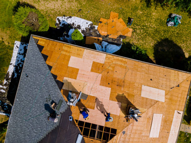 Best Roof Maintenance Services  in Pine Ridge, FL