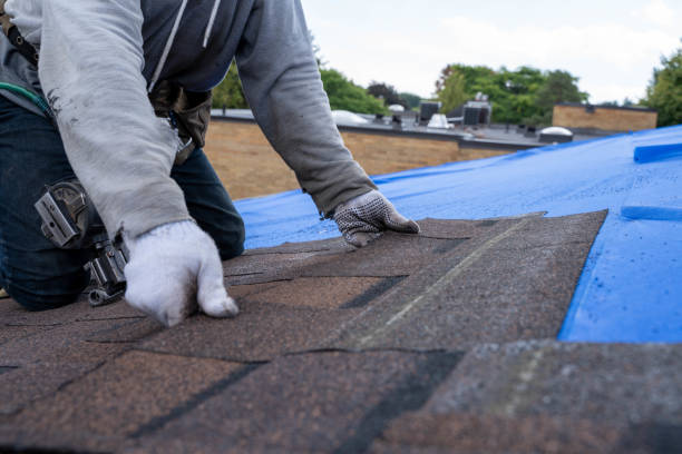 Best Emergency Roof Repair  in Pine Ridge, FL
